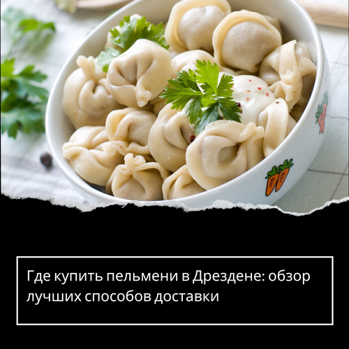 Где купить пельмени в Дрездене: обзор лучших способов доставки